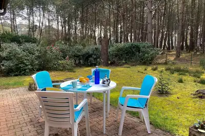 Image de Petite maison mitoyenne avec jardin en bord de forĂŞt - 342558