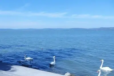 Image de Maison de vacances Balatonszárszó pour 1 - 16 personnes avec 5 chambres à coucher - Maison de vacanc