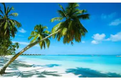 Exclusive gated beach-front community with direct access to sandy white beach.