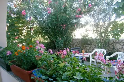 Image de Appartements Verica, (16488), Privlaka, Croatia