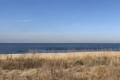 Image de Manor and Mutts #2 - Beach Front, Pet Friendly, High Speed WiFi