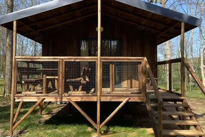 Image de 1 cabanes en bois en pleine nature dans la forêt de Chanteloup