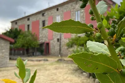 Image de Residenza di Campagna B&B Tenuta Terrarossa