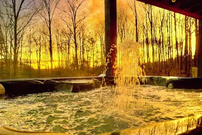 Image de Hot Tub w Ca King beds Acres of & secluded. Pymt plan, dogs welcome