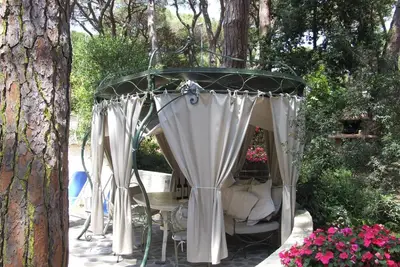 Image de Appartement de vacances Marina di Castagneto Donoratico pour 1 - 3 personnes avec 1 chambre à couche