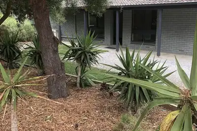 Image de 3 Br house - Walk to Beach, Scrub, Parks and Cafe. Short drive to Wineries.