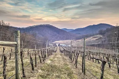 Image de Spacious Faber Home w/ Yard, Steps to Winery!