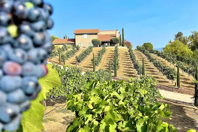 Image de Via Vino Vineyard Estate - Hot Air Balloon Views