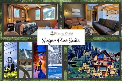 Image de Pinetree Chalet: Sugar Pine Suite. Ask for a Quote! Longer stay = lower rates.