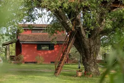 Image de The Red House in the Green Oasis