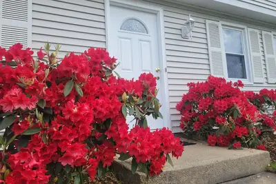 Image de Spacious 5br Beach House Vacation-walk to Scarborough!