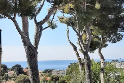 Image de Maison entre pins et mer dans quartier résidentiel