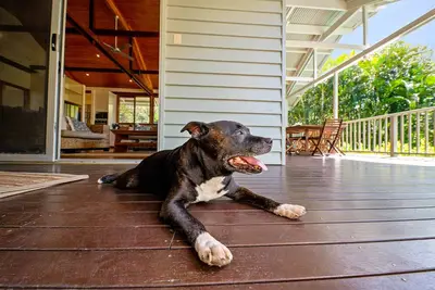 Image de Serenity - Eco friendly, pet friendly beach house with pool