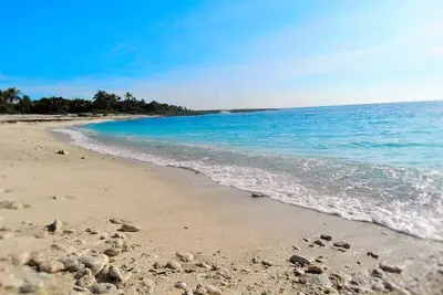 Image de Jungle vibe, with Sea side breezes, Experience The Mayan Riviera