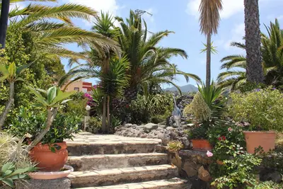 Image de La Palma - Jardin de Aridane