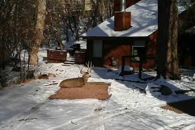 Image de Cabin in the woods next to the Broadmoor and crazy close to trailheads