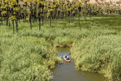 Image de Rancho Ecológico Sol de Mayo Rotamundos
