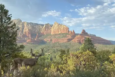Image de A Cowboys Casa--Best Red Rock Views In Sedona -Walk To Tlaquepaque & Uptown--