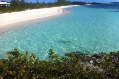 Image de 9 Acres of Pure Bahamas