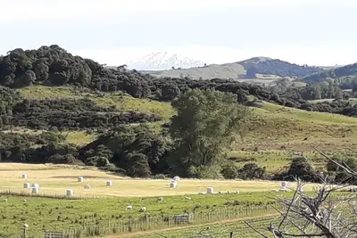Image de The sheep's retreat farmstay