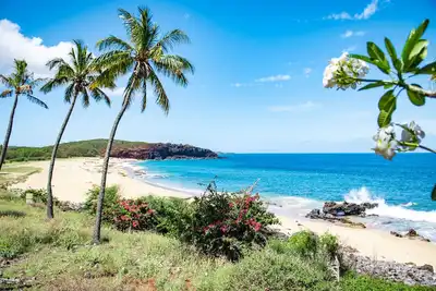 Image de Ocean View, Ground-Floor Condo w/ Lanai, WiFi, Shared Pool - Walk to Beach