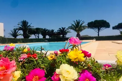 Image de 🌺 Studio sur plage avec piscine & balcon vue mer 🌺