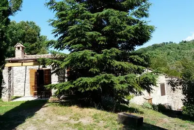 Image de Appartement de vacances Pomaia pour 1 - 7 personnes avec 3 chambres à coucher - Appartement de vacan