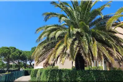 Image de Duplex climatisé 3*** 6 pers, 400m mer, piscine, vélos, parking, wifi, extérieur
