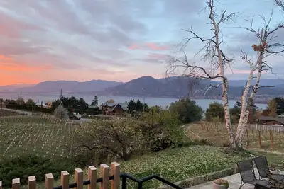 Image de Mid-Century Modern Revival Vineyard Home