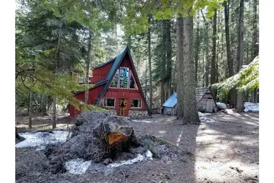 Image de Unplug! Tranquil, Private, Pet-Friendly Rustic Cabin in the Woods
