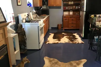 Image de Beautiful cottage on 28 acres of prime land, in Fruitland, Florida!