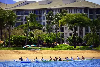 Image de <br>🐳Whale Season is Here🐋<br>Book Now!