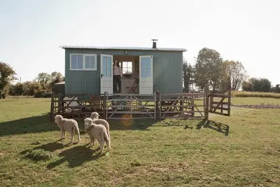 The Lookerer by Bloom Stays -  a rural shepherds hut with amazing views!