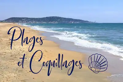 Plages Et Coquillages