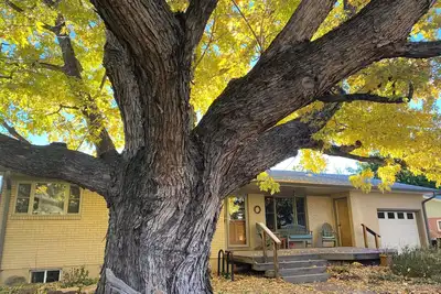 Image de Spacious modern home in Ideal location walking distance to Sundance venues.