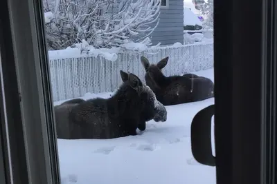 Image de Irish hospitality at its best