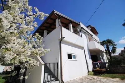 Image de Appartement de vacances Novigrad pour 1 - 5 personnes avec 2 chambres à coucher - Appartement de vac