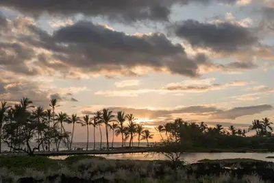 Image de Big Island Hawaiian Christmas 2021