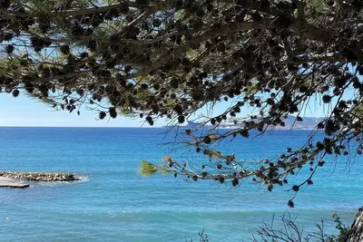Image de Joli studio au cœur de la madrague 200m plage/ bord de mer suréquipé. Terrasses