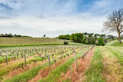 Image de Gîte dans les vignes - Le Petit Rousselet