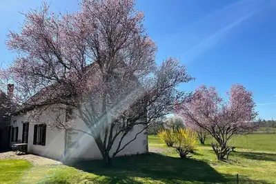 Image de Gîte de la fontaine salée, un havre de paix au coeur des prairies de l'Auxois.