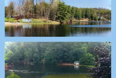 Image de A Tale of Two Beaches