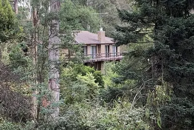 Image de Pinnacle Park -3. 5 Acres of beautiful forest