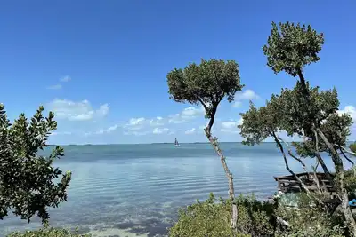 Image de Beautiful brand new renovated condo right on the Bay in Key Largo, Florida!