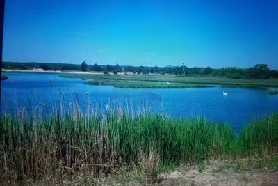 Image de Rex- East Hampton Cottage- 5 stars