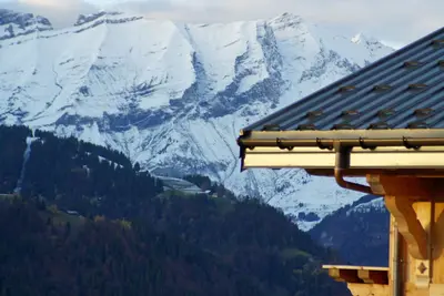 Image de Chalet Berghem 100mESF Crest-Voland