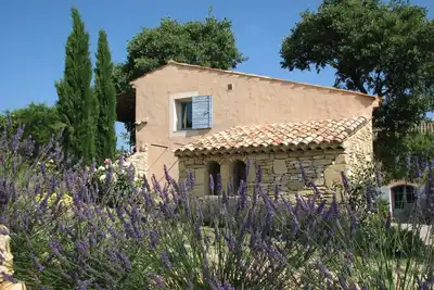 Image de Mas provençal avec piscine au cœur d'un vignoble en Luberon - Domaine du Coffre