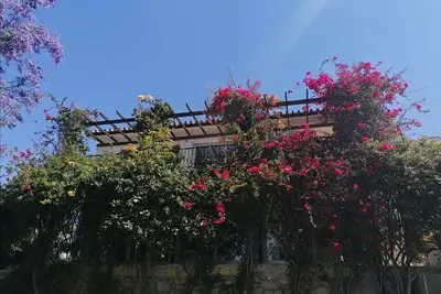 Image de Villa privée avec jardin luxuriant et piscine.