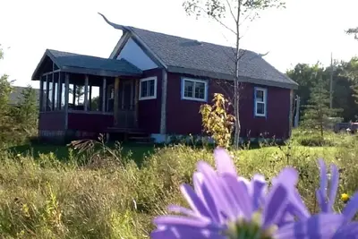 Image de Cozy cabin near Rmnp with screened-in deck, forest and meadow views