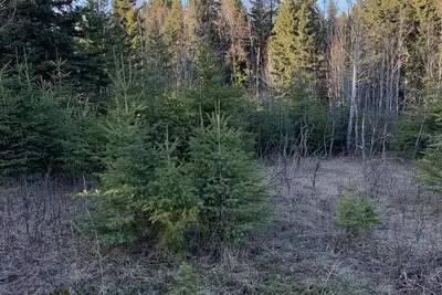 Image de Camping on private land